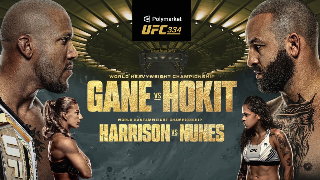 UFC 334